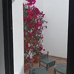 Casa Mocan *