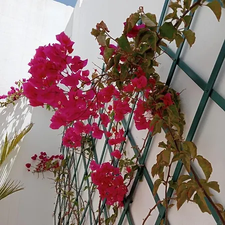 Casa Mocan * Арресифе