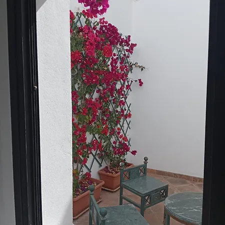 Casa Mocan *