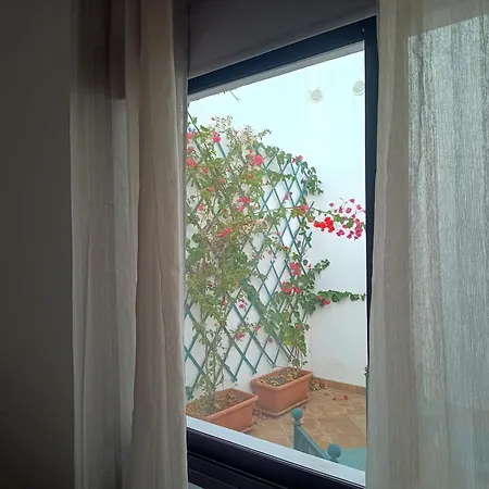 Casa Mocan Séjour chez l'habitant Arrecife (Lanzarote)