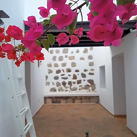 Casa Mocan * アレシフェ