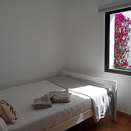 Casa Mocan ホームステイ アレシフェ