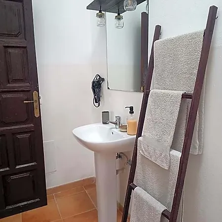 Casa Mocan ホームステイ アレシフェ