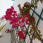 Casa Mocan * Arrecife (Lanzarote)