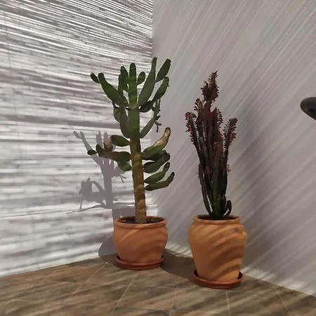 Casa Mocan Quarto em Acomodações Particulares *